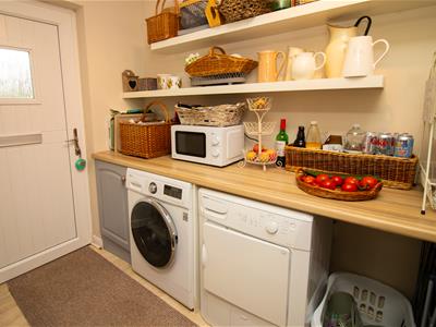 Picture 15